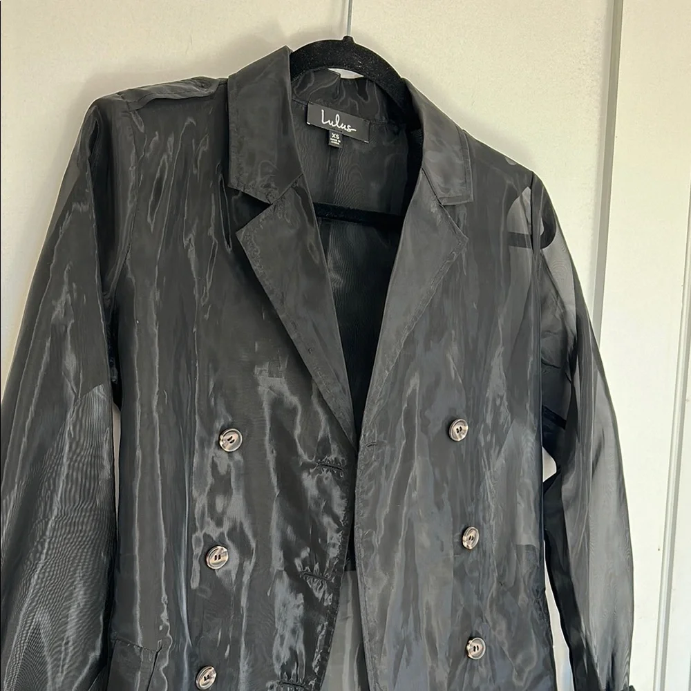 Black Sheer Trench Coat - Picture 3 of 6
